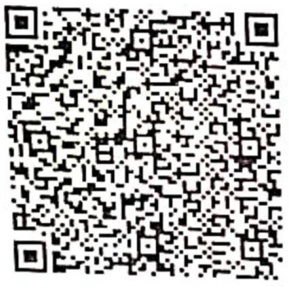 Seva Dil Se Foundation UPI QR Code